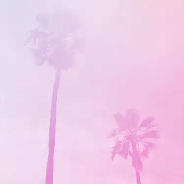 WITH LOVE FROM LA