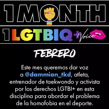 Imagen one month one lgtbi+ voice enero