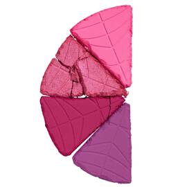 Paleta de Rubor Wednesday